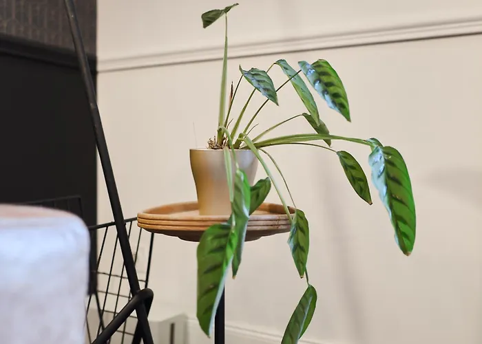 Apartment La Urbaine - Place D'erlon - Bulle De Calme *